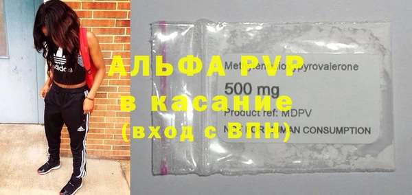 хмурый Бородино
