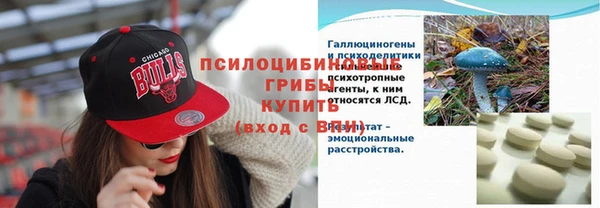 дурь Богородицк