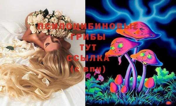 МДПВ Богородск