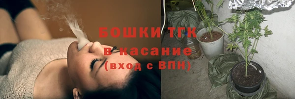 хмурый Бородино