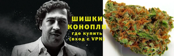 дурь Богородицк